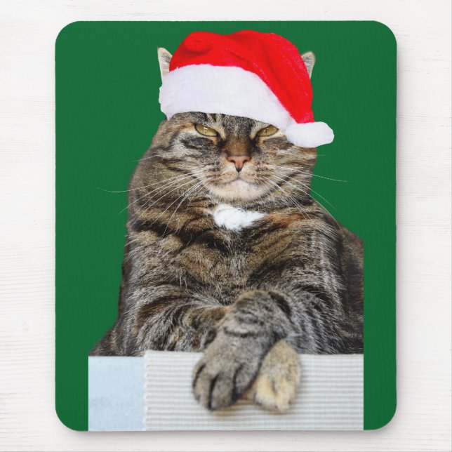 Mousepad Foto de Humbug de Cat Natal com Santa Hat (Frente)