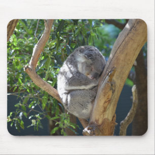 Mousepad Foto de Koala Dormindo