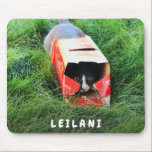 Mousepad Foto de Monograma de Cute<br><div class="desc">Guarde a fotografia do gato ou substitua-a pela sua própria fotografia de estimação. Há um lugar onde você pode colocar seu nome ou o nome do seu animal de estimação. Minha filha queria uma foto do nosso taco de gato para sua almofada de rato,  então nós trabalhamos juntos.</div>