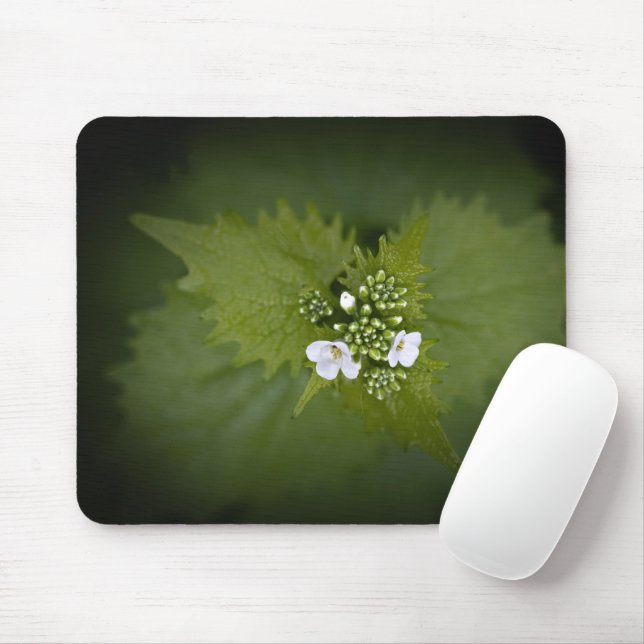 Mousepad Foto de natureza floral (Com mouse)