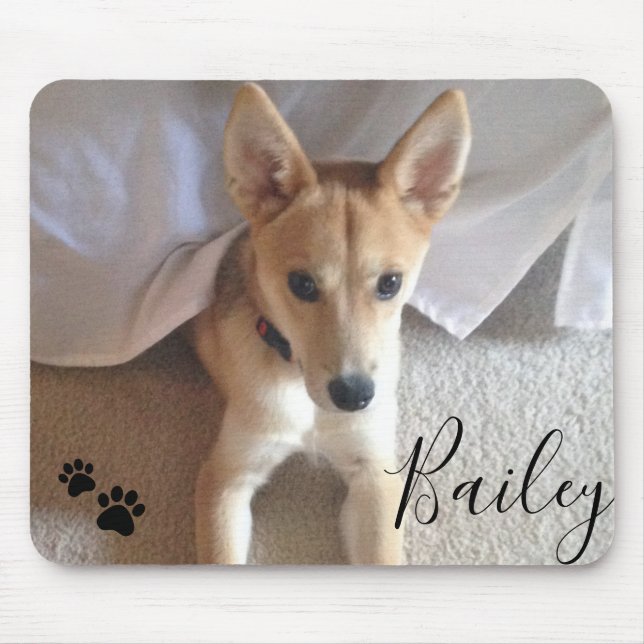Mousepad Foto de Pet de Cachorro Personalizada e Pawprint d (Frente)