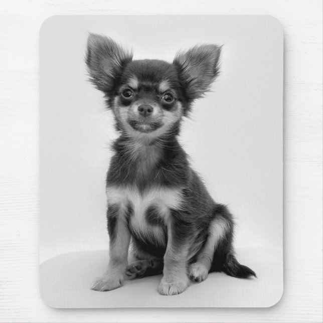 Mousepad Foto de pirueta Chihuahua branca e preta (Frente)