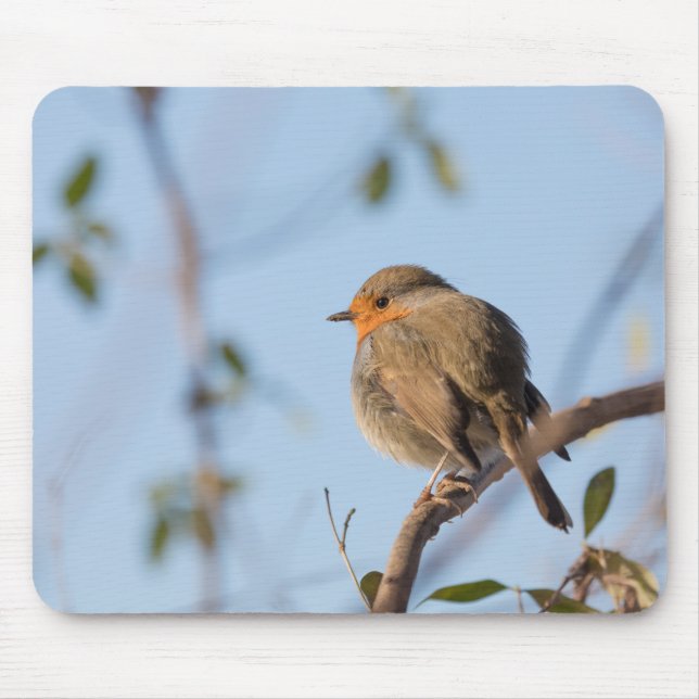 Mousepad Foto de Robin Wildlife (Frente)