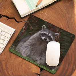 Mousepad Foto de Wildlife na Floresta Cura