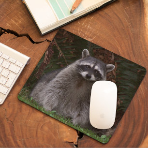 Mousepad Foto de Wildlife na Floresta Cura