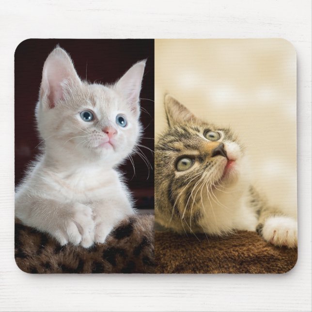Mousepad Foto do Cat Pet Personalizada (Frente)