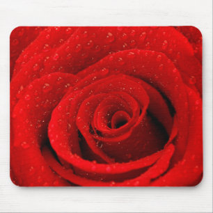 Mousepad Foto do fundo da rosa vermelha
