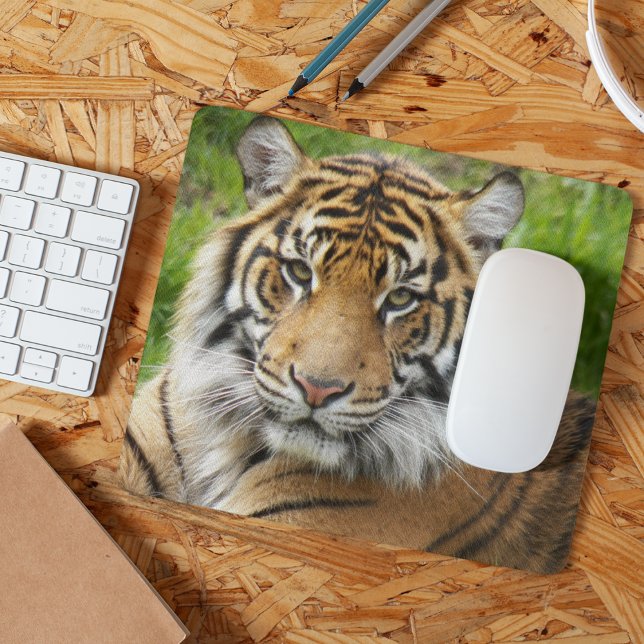 Mousepad Foto do Grande Gato Sumatran Tiger (In Situ)