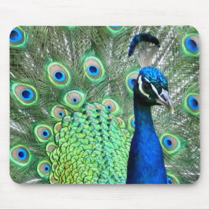 MOUSEPAD FOTO DO PEAFOWL DO PAVÃO