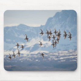 Mousepad Foto do Sandpiper Nature