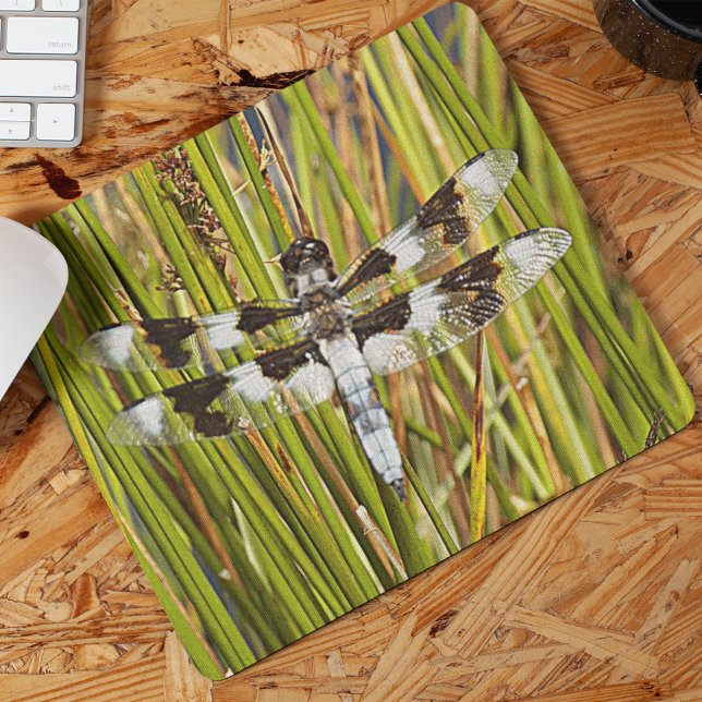 Mousepad Foto do Skimmer Dragonfly (In Situ)