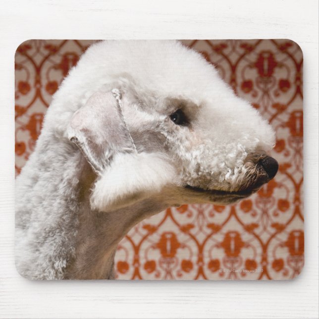 Mousepad Foto do Studio de Bedlington Terrier (Frente)