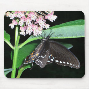 Mousepad Foto do Swallowtail Negro da Borboleta Noturna