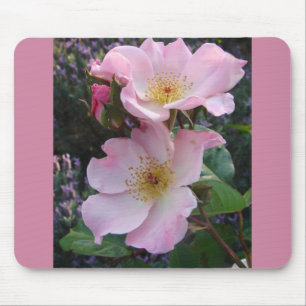 Mousepad Foto floral de Rosa selvagem rosa