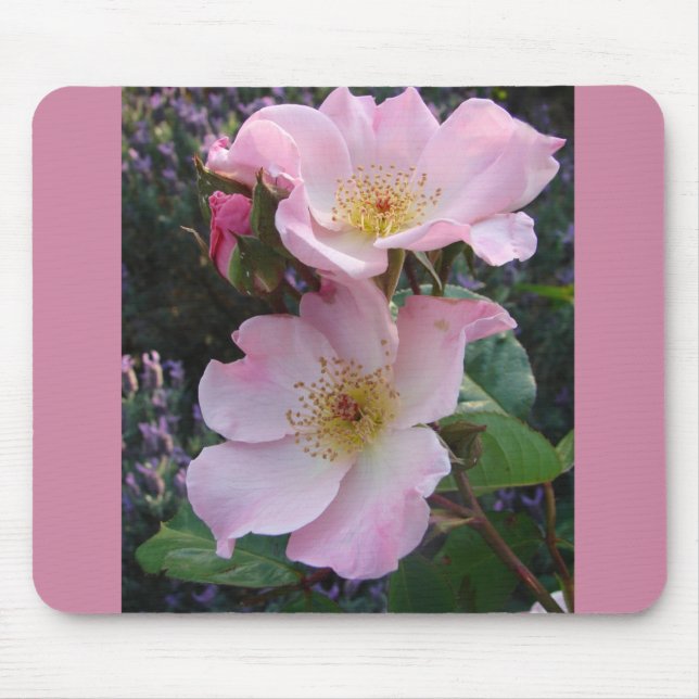 Mousepad Foto floral de Rosa selvagem rosa (Frente)