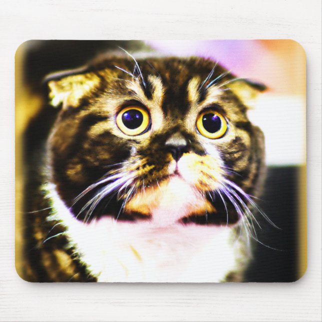 Mousepad Foto Hilariante de um Gato Engraçado. Compre agora (Frente)