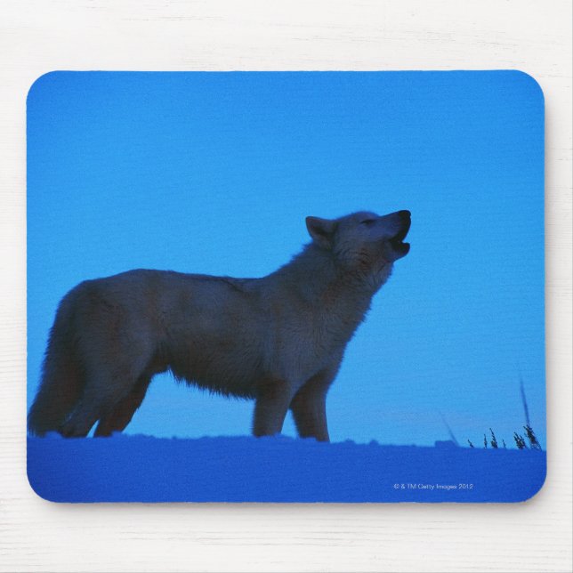 Mousepad Foto, lobo branco uivando à noite, Cor, Alto (Frente)