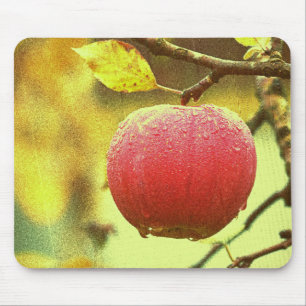 Mousepad Foto "Maçã Vermelha". Compre agora