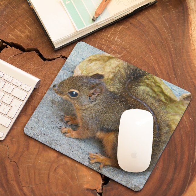 Mousepad Foto natural do Esquilo Douglas (In Situ)