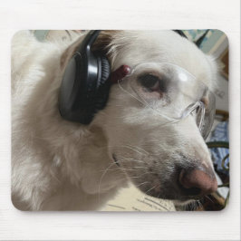 Mousepad Foto Personalizada de Animal de Estimação 