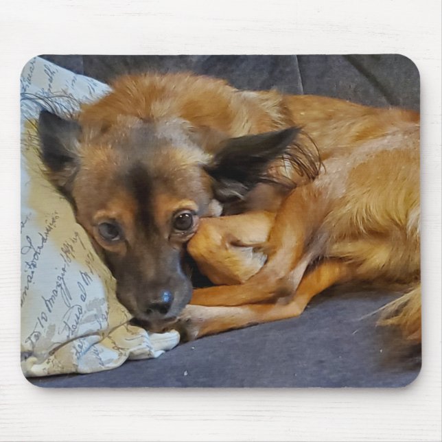 Mousepad Foto personalizada de cão (Frente)