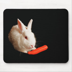 Mousepad Foto personalizada do animal
