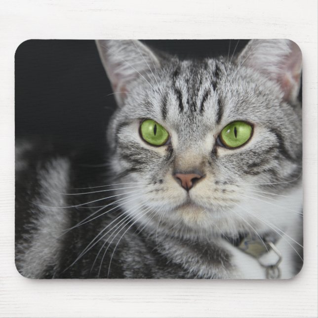 Mousepad Foto Personalizada do Seu Gato Adocicado (Frente)