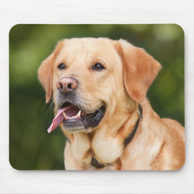 Mousepad Foto Pet Personalizada (Frente)