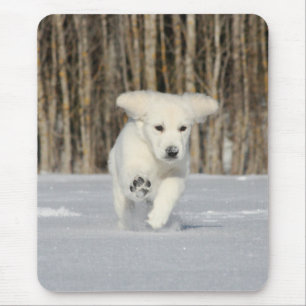 Mousepad Foto Polar Puppy