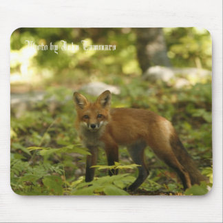 Mousepad Foto por John Tammaro