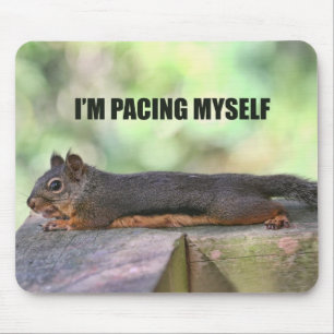 Mousepad Foto preguiçosa do esquilo