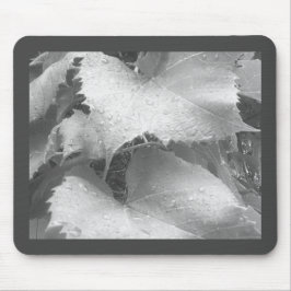 Mousepad Foto preta e branca de folhas de uva úmida e de ro