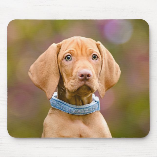 Mousepad Foto puppyeyed bonito do filhote de cachorro do (Frente)