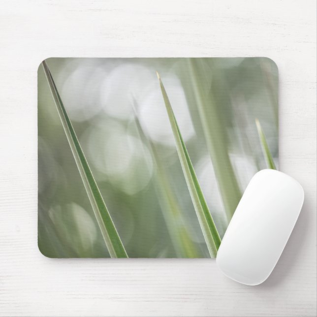 Mousepad Foto verde-pontiaguda da planta (Com mouse)