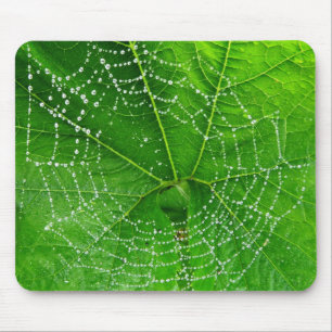 Mousepad Foto Web exclusiva de aranhas projetada