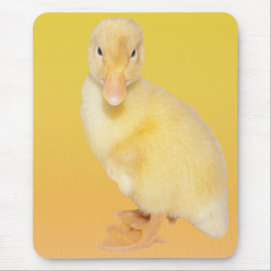 Mousepad Fotografia amarela adorável do patinho