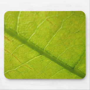 Mousepad Fotografia Botânica de Folha Verde