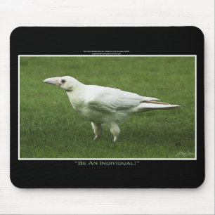 Mousepad Fotografia branca rara dos animais selvagens do