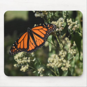 Mousepad Fotografia da Borboleta Negra Laranja