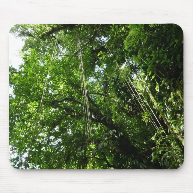 Mousepad Fotografia da floresta tropical Jungle Ropes (Frente)