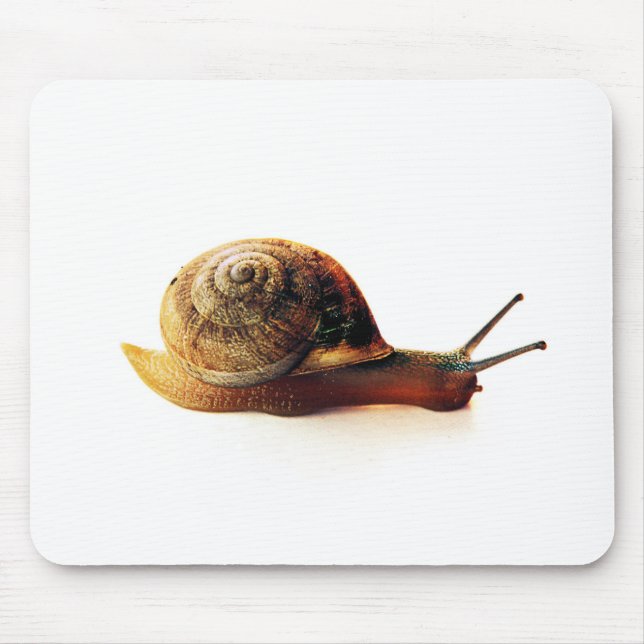 Mousepad Fotografia da Natureza de Caracol de Jardim (Frente)