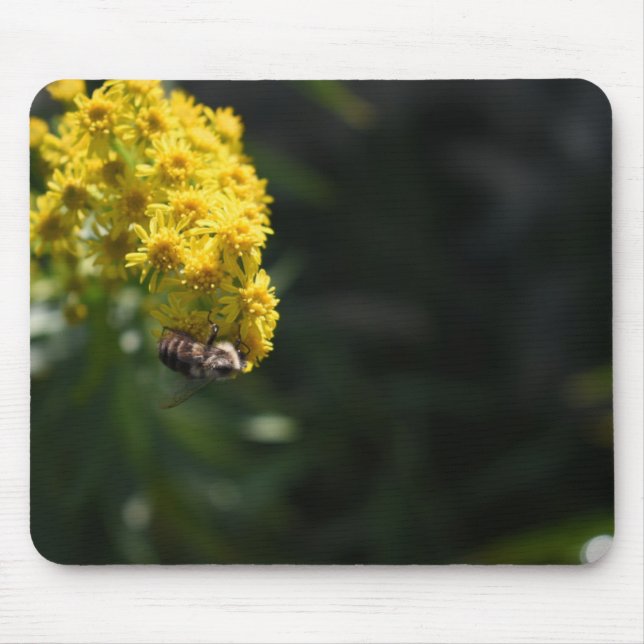 Mousepad Fotografia de Abelhas Amarelas (Frente)