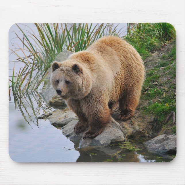 Mousepad Fotografia de animais selvagens com urso grizzly (Frente)