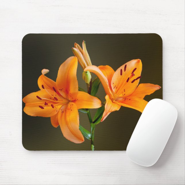 Mousepad Fotografia de duas moscas laranja Tiger e Buds (Com mouse)