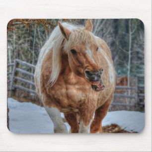 Mousepad Fotografia de Equídeos de Raça Palomino Paint
