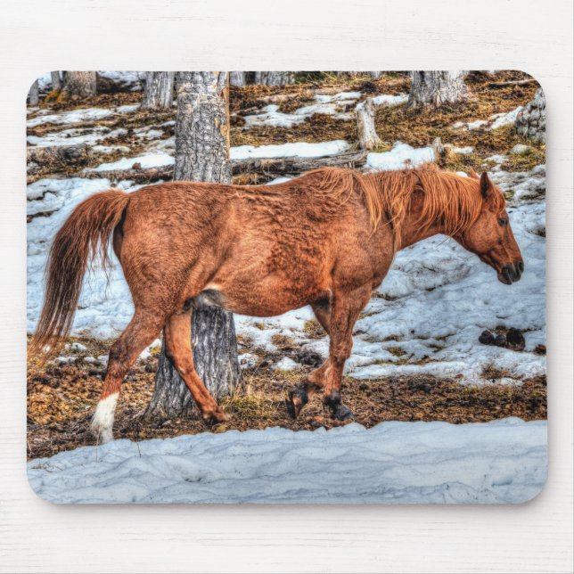 Mousepad Fotografia de Equídeos Red Dun Ranch Horse (Frente)