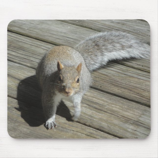 Mousepad Fotografia de Esquilo (Frente)