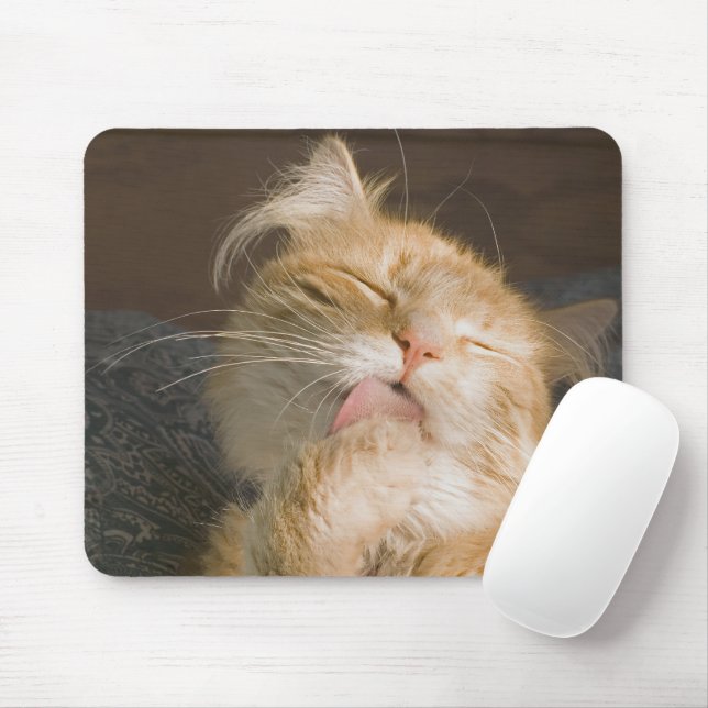 Mousepad Fotografia de Fechamento do Gato de Maine Vermelha (Com mouse)