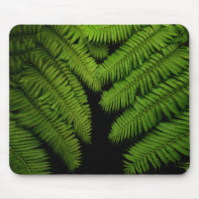 Mousepad Fotografia de Fern Fine Art (Frente)