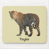 Fotografia de Gato Selvagem de Leopardo